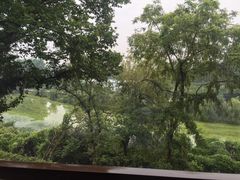 -上海市保健医疗中心(华东疗养院)