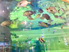 -尚泰清迈机场购物中心