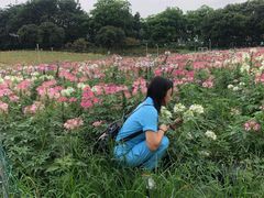 -松山湖梦幻百花洲