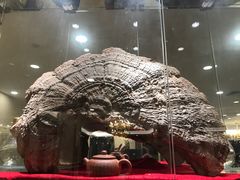 -汇景海鲜店