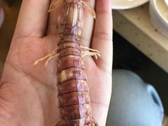 -港畔赶海蒸汽海鲜烧烤自助(仙螺岛店)