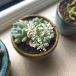 -scarlet斯卡莱美容护理机构