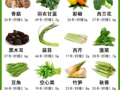 -Fundi张玉珊修身堂·indiba·BTL科技瘦身