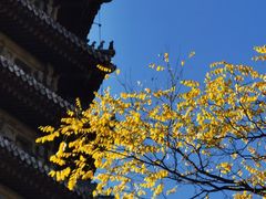 -玲珑塔公园