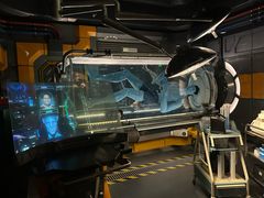 -奥兰多迪士尼动物王国乐园