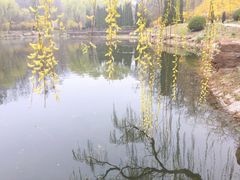 -棒棰岛宾馆景区