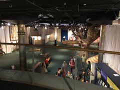 -莎士比亚环球剧场