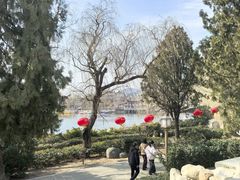-泰山风景名胜区-虎山公园