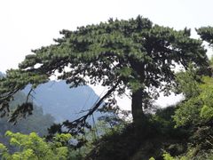 -泰山风景名胜区