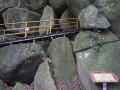 -海南霸王岭国家森林公园