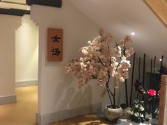 -善水温泉·汗蒸·SPA·生活会馆(桑田路店)