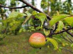-狼山风景名胜区