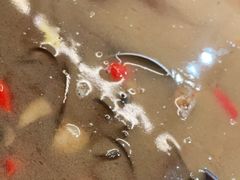 -青年公社烤鸭(蜀山万象汇店)