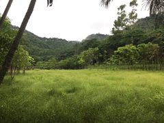 -田心森林公园