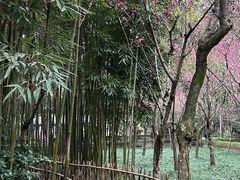 -成都杜甫草堂博物馆
