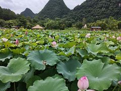 -生态苑农庄(十里画廊遇龙河店)