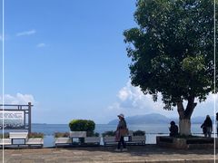 -洱海月湿地公园