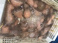 -阿凡海鲜(甬港北路店)