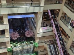 -晓宇重庆火锅(赛格国际购物中心店)
