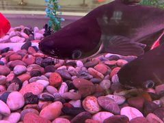 -泰州市人民医院(总院区)