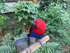 -南宫五洲植物乐园