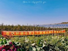 -北纬44度·金珠花海休闲农业旅游景区