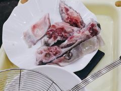 -源港渔村-中山脆肉鲩(博罗店)