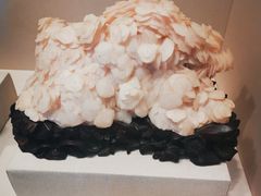 -房山世界地质公园博物馆