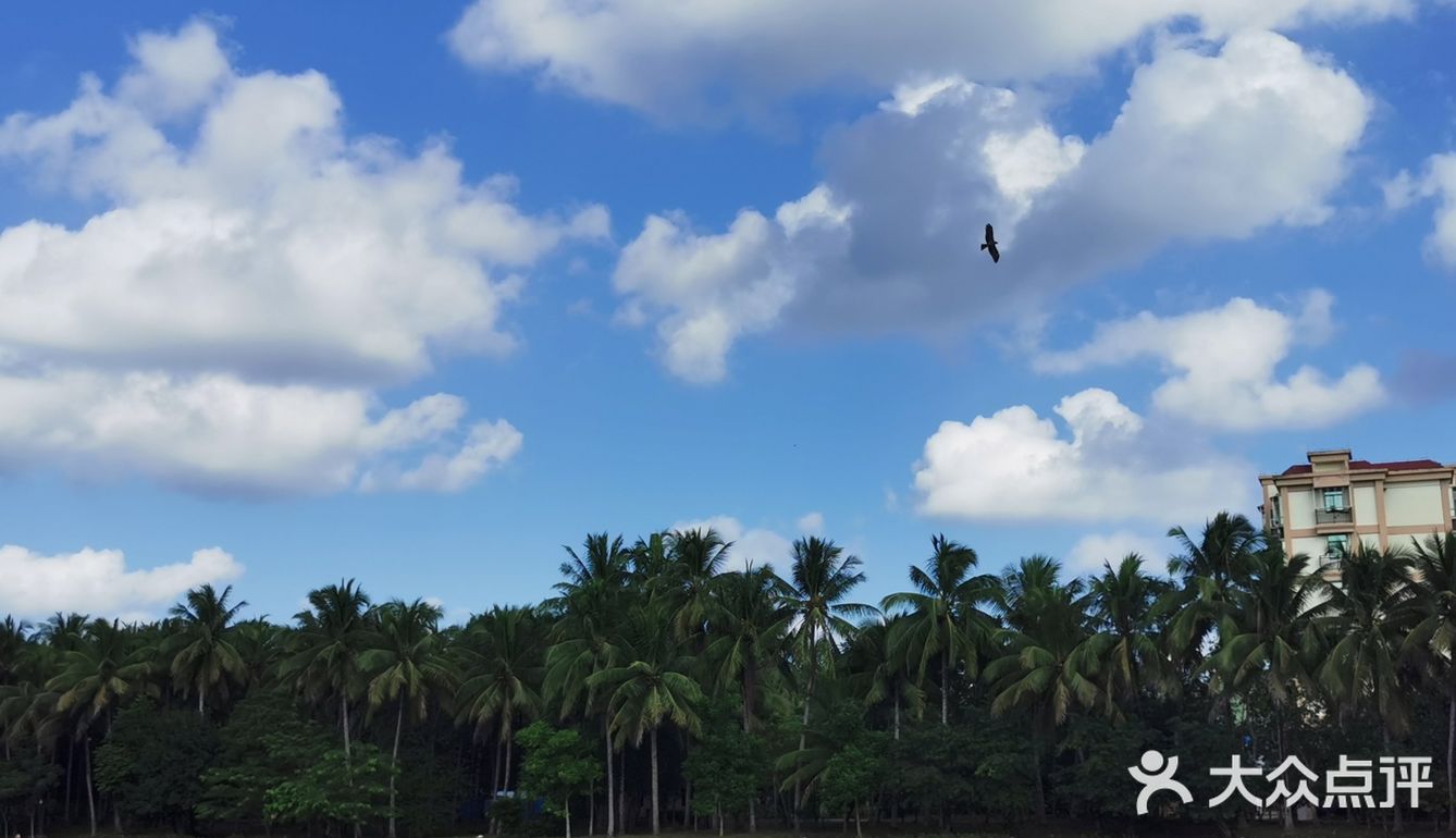 海南旅游｜天了噜‼️热带植物园让我开了眼👀