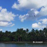 海南旅游｜天了噜‼️热带植物园让我开了眼👀