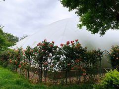 -丰台科技园生态主题公园