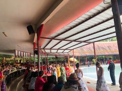 -西双版纳勐泐文化旅游区