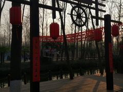 -合肥滨湖国家森林公园