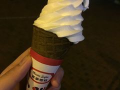 -富豪雪糕车流动点(尖沙咀店)
