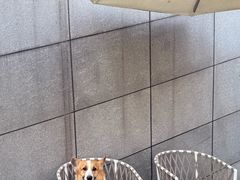 -UNI UNI(环亚凯瑟琳店)