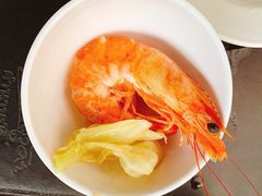 -绿光森林餐厅