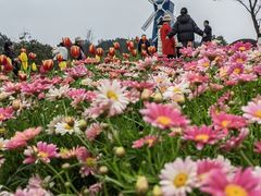 -铁山坪森林公园