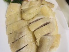 -海王老记