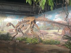 -辽宁古生物博物馆