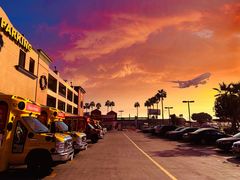 -In-N-Out Burger(LAX)
