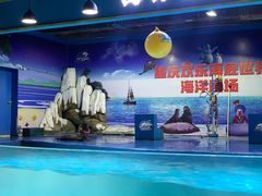 -重庆欢乐海底世界