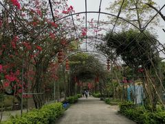 -广东花都香草世界旅游度假区