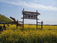 -兰陵国家农业公园