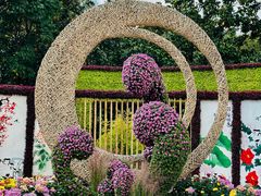 -上海共青森林公园