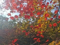 -本溪老边沟风景区