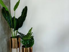 -C+ cake shop(天河南一路小区店)