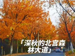 -北宫国家森林公园