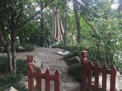 -宝界山林公园