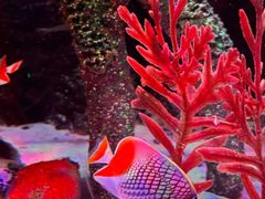 -沈阳海洋探索中心