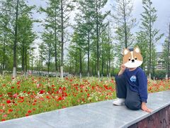 -春花秋色城市公园